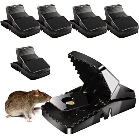 Heavy-Duty Reusable Mouse Trap