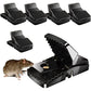 Heavy-Duty Reusable Mouse Trap